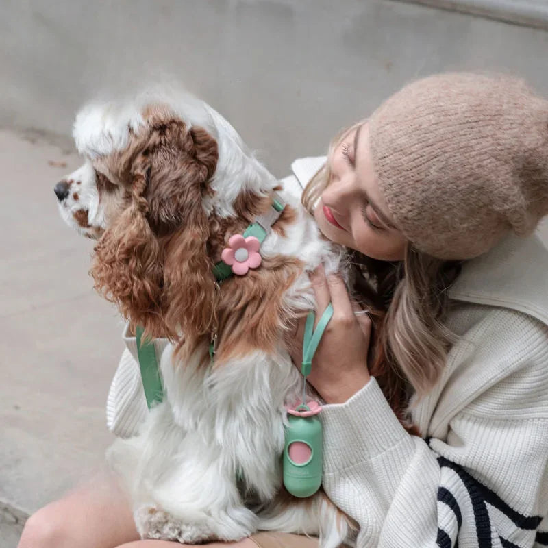 Dog Poo Bags: Thick, Portable & Travel-Friendly